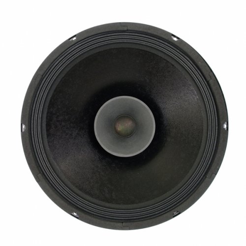 Μεγάφωνο woofer 12" 8Ω 300W σκληρό διπλού κώνου 1236DC