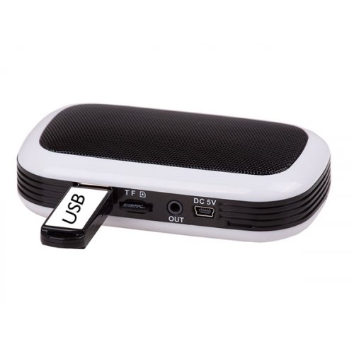Ραδιόφωνο FM RS 745 USB Trevi