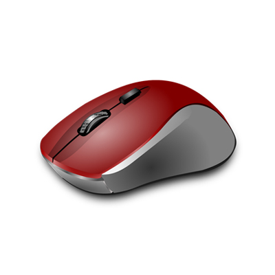 Computer Mouse